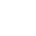 Software Consulting